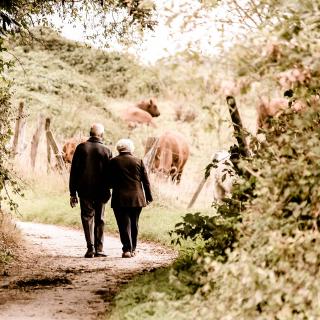 Pair walking